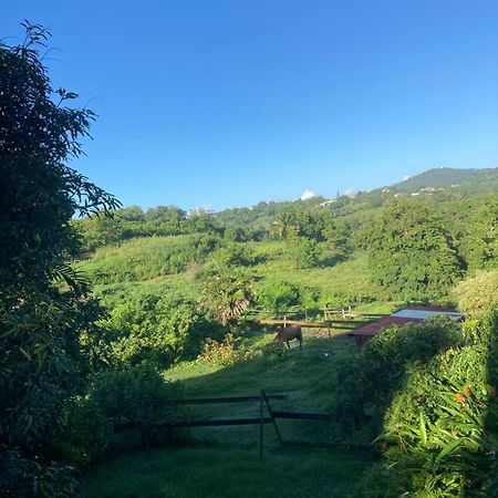 Grand T2 Tout Confort , Emplacement Ideal Riviere-Salee Luaran gambar